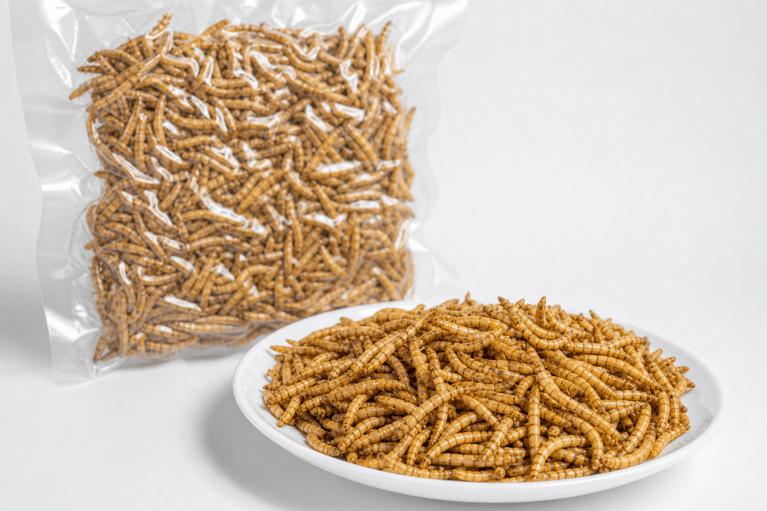 Freeze-dried Tenebrio Molitor